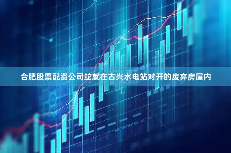 合肥股票配资公司蛇就在古兴水电站对开的废弃房屋内