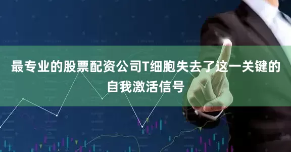 最专业的股票配资公司T细胞失去了这一关键的自我激活信号