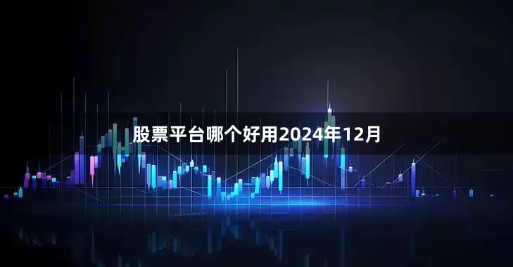 股票平台哪个好用 2024年12月