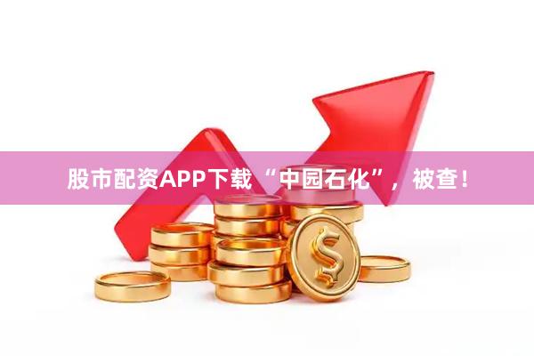 股市配资APP下载 “中园石化”，被查！