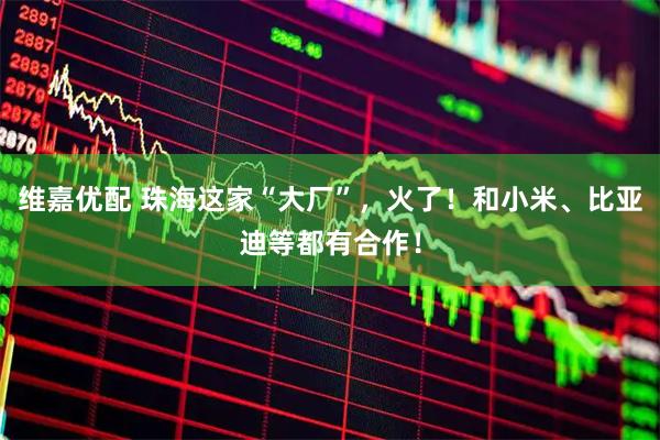 维嘉优配 珠海这家“大厂”，火了！和小米、比亚迪等都有合作！