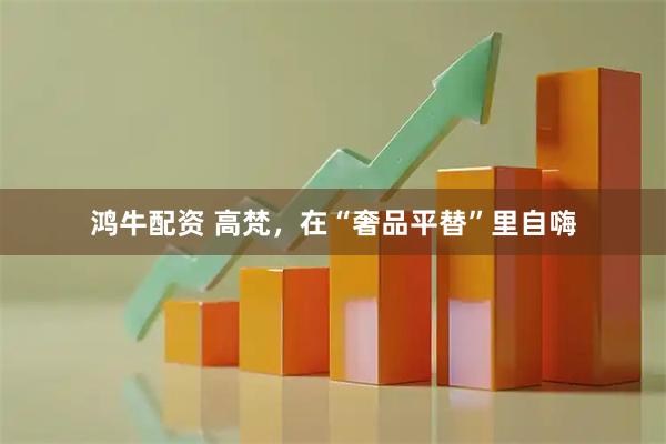 鸿牛配资 高梵，在“奢品平替”里自嗨