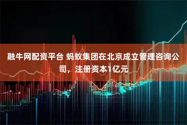 融牛网配资平台 蚂蚁集团在北京成立管理咨询公司，注册资本1亿元