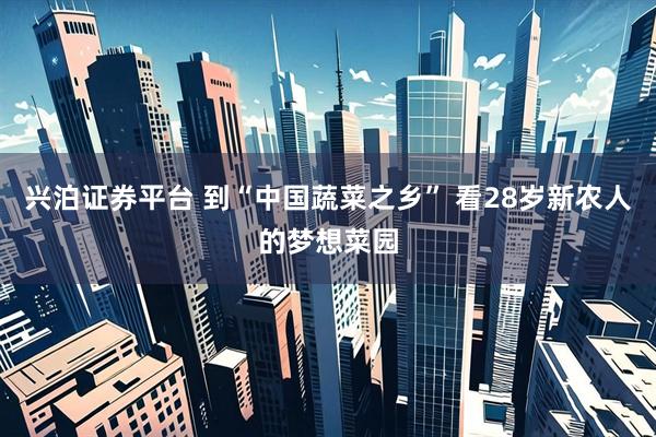 兴泊证券平台 到“中国蔬菜之乡” 看28岁新农人的梦想菜园