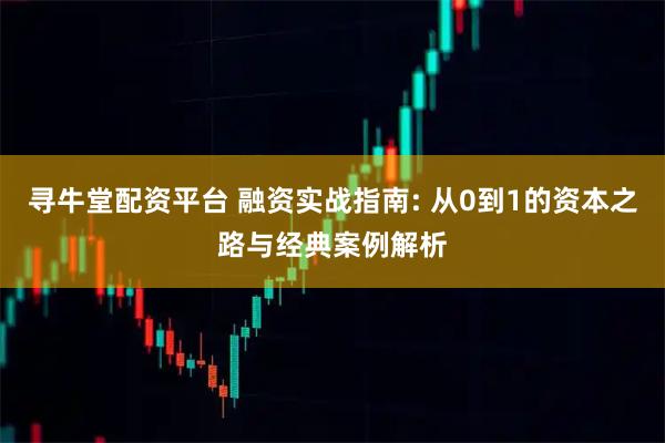 寻牛堂配资平台 融资实战指南: 从0到1的资本之路与经典案例解析